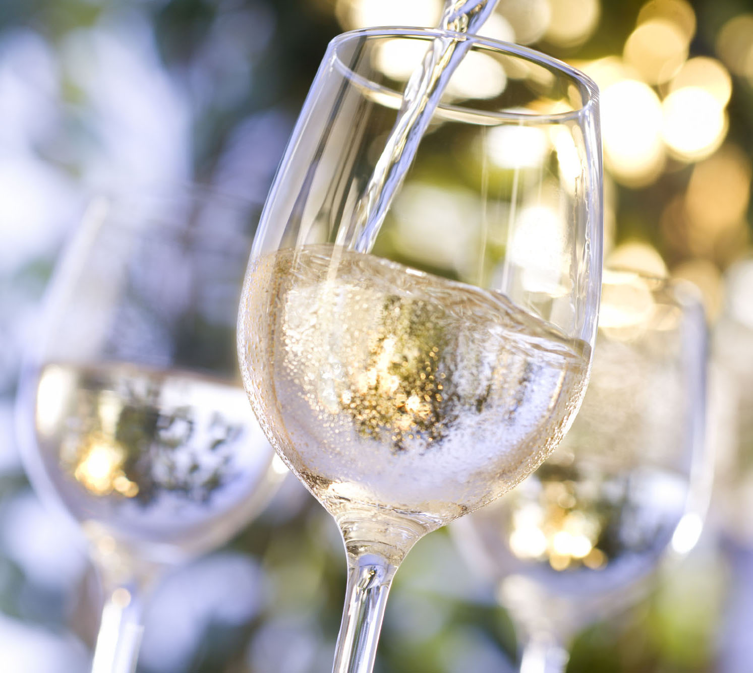 Wine Glass